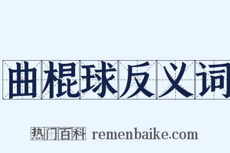 曲棍球反义词是什么意思的图片
